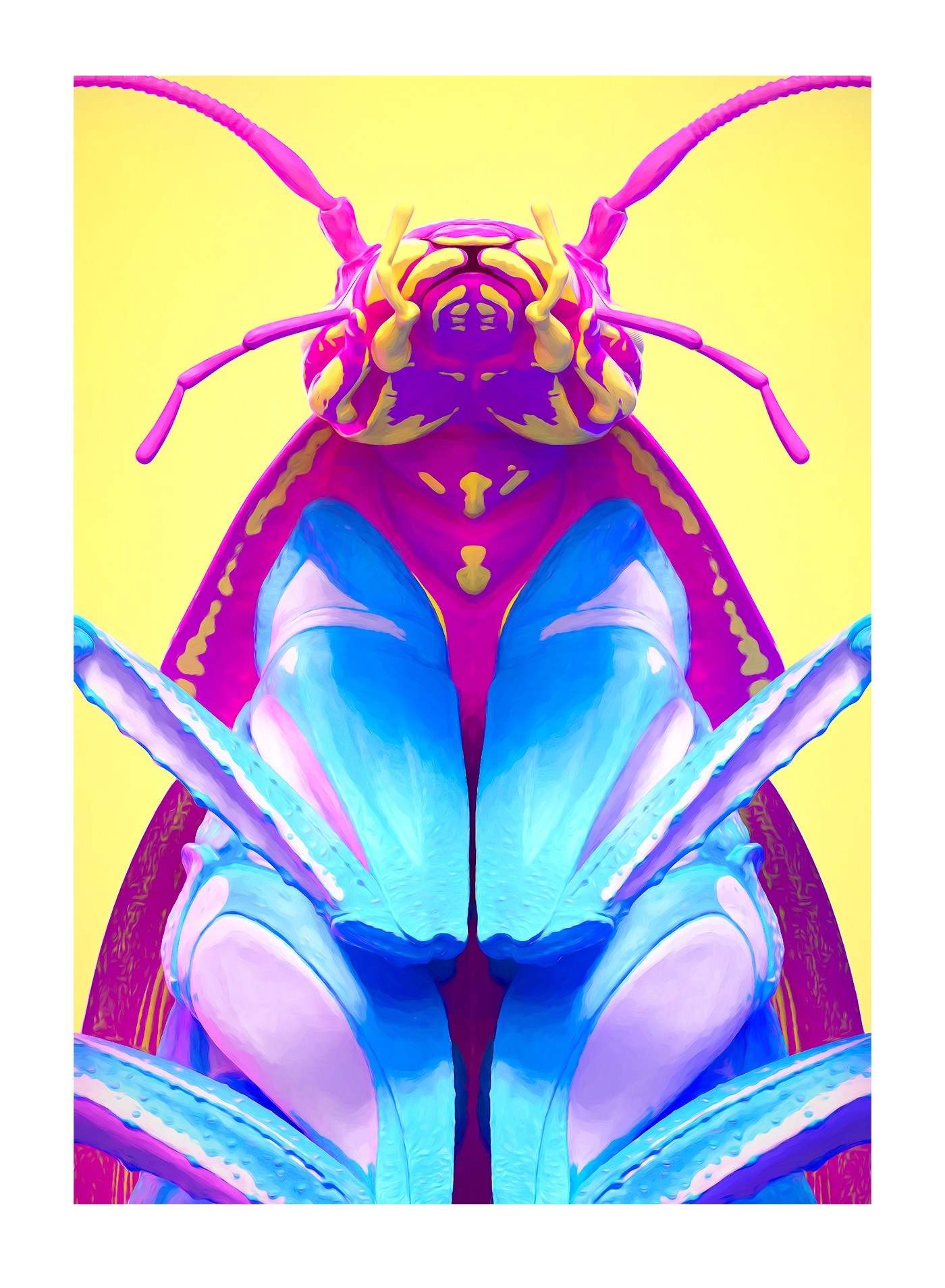 Beauty. - Marc Urtasun