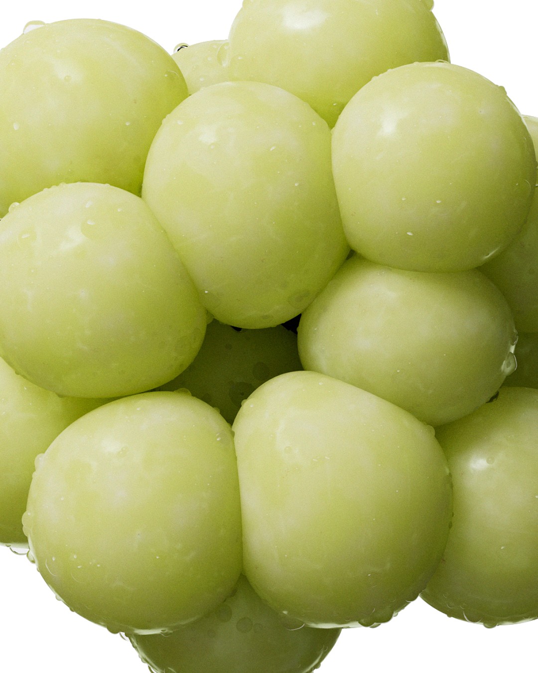 Grapes loop - Marc Urtasun