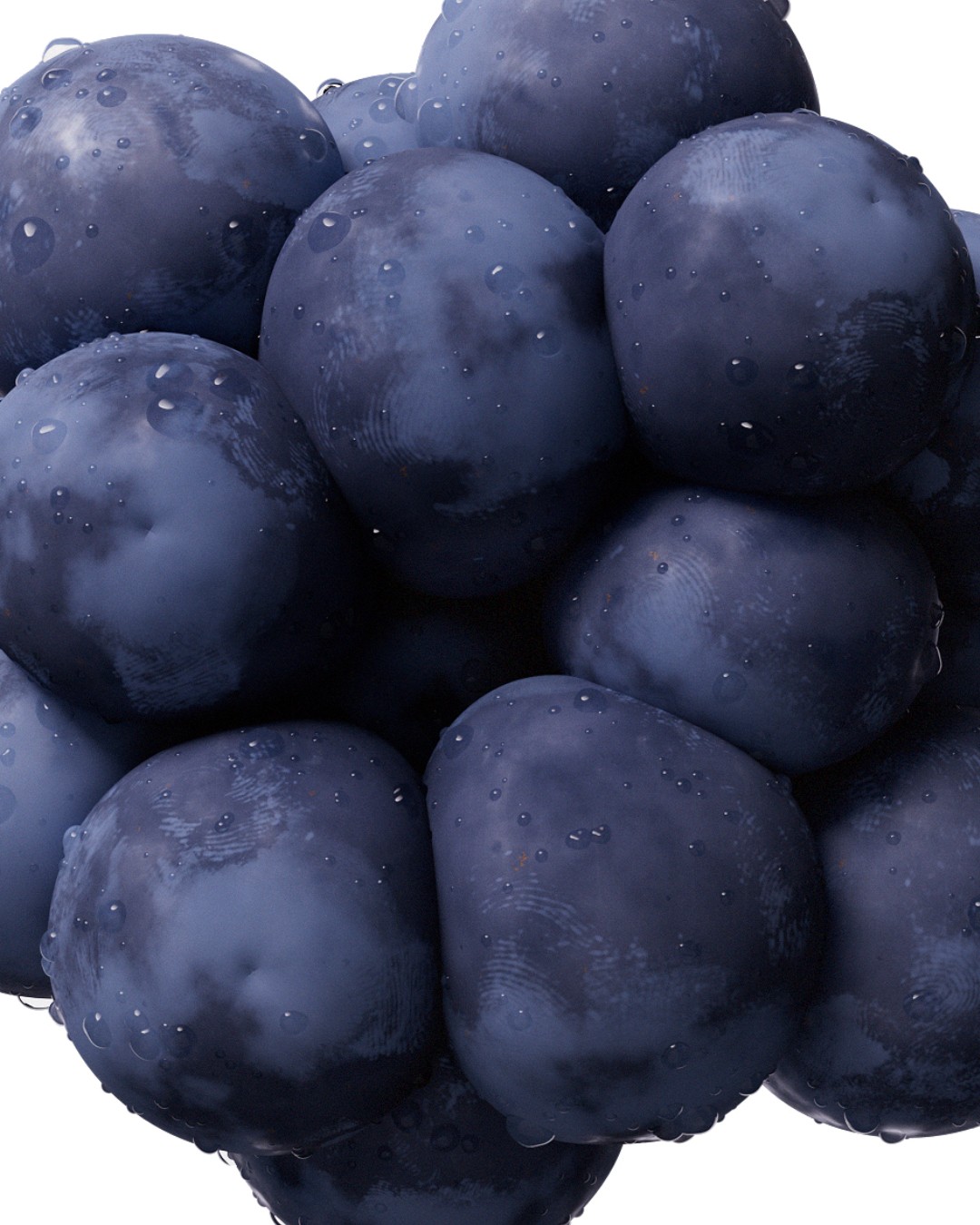 Grapes loop - Marc Urtasun